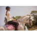 Diamant Saddle Pad - Lilac