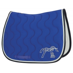 Tapis de selle point...