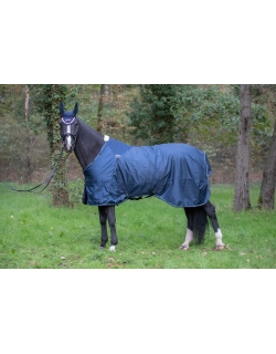 Outdoor Winter Rug