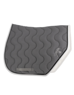 Tapis de selle point...