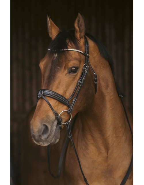 Daily Strass Bridle - Black