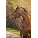 Daily Strass Bridle - Black