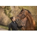 Daily Strass Bridle - Black