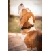 Billie Dog Collar - Black