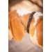 Billie Dog Collar - Black